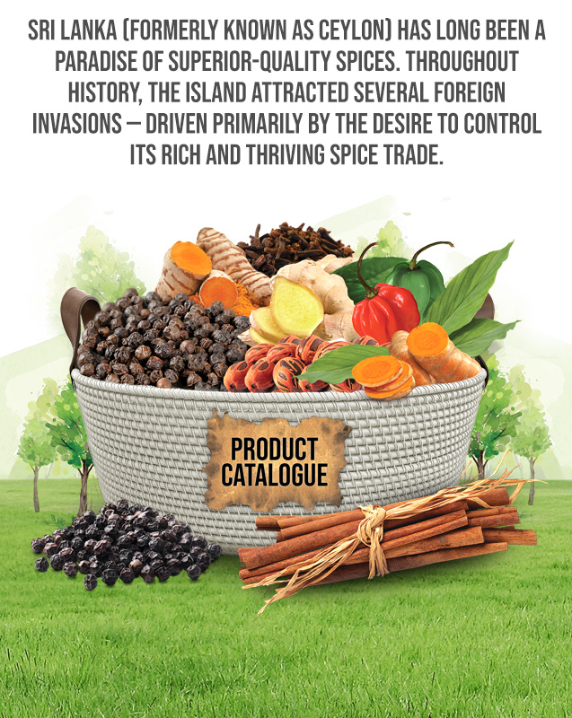 Born in Nature | Health Is The Ultimate Profit promo-banner-image