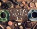 Cinnamon-tea-recipe