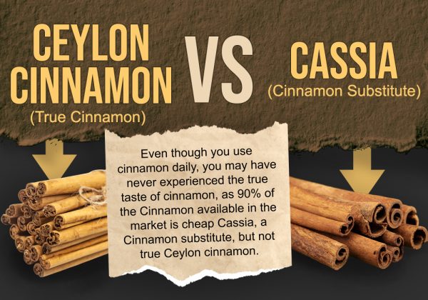 Cinnamon-vs-cassia